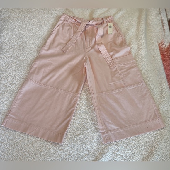 Anthropologie Light Pink Capri pants size small - Picture 1 of 6